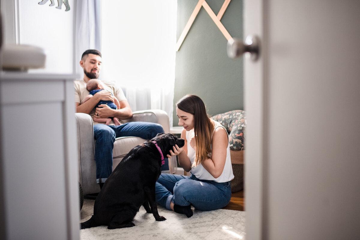 newborn and family photography in nursery with dog