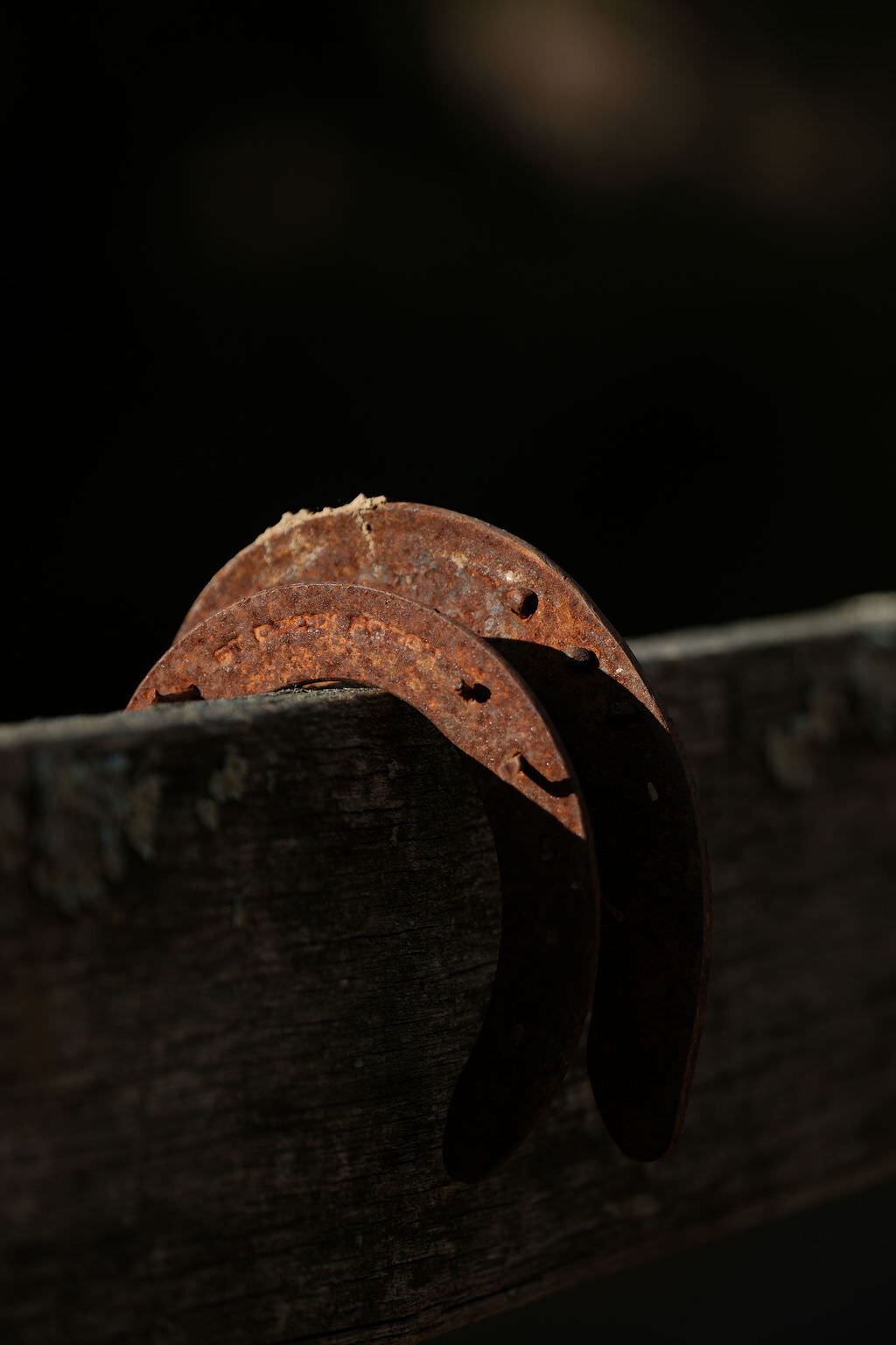 TheHoof_Selections_October_00117