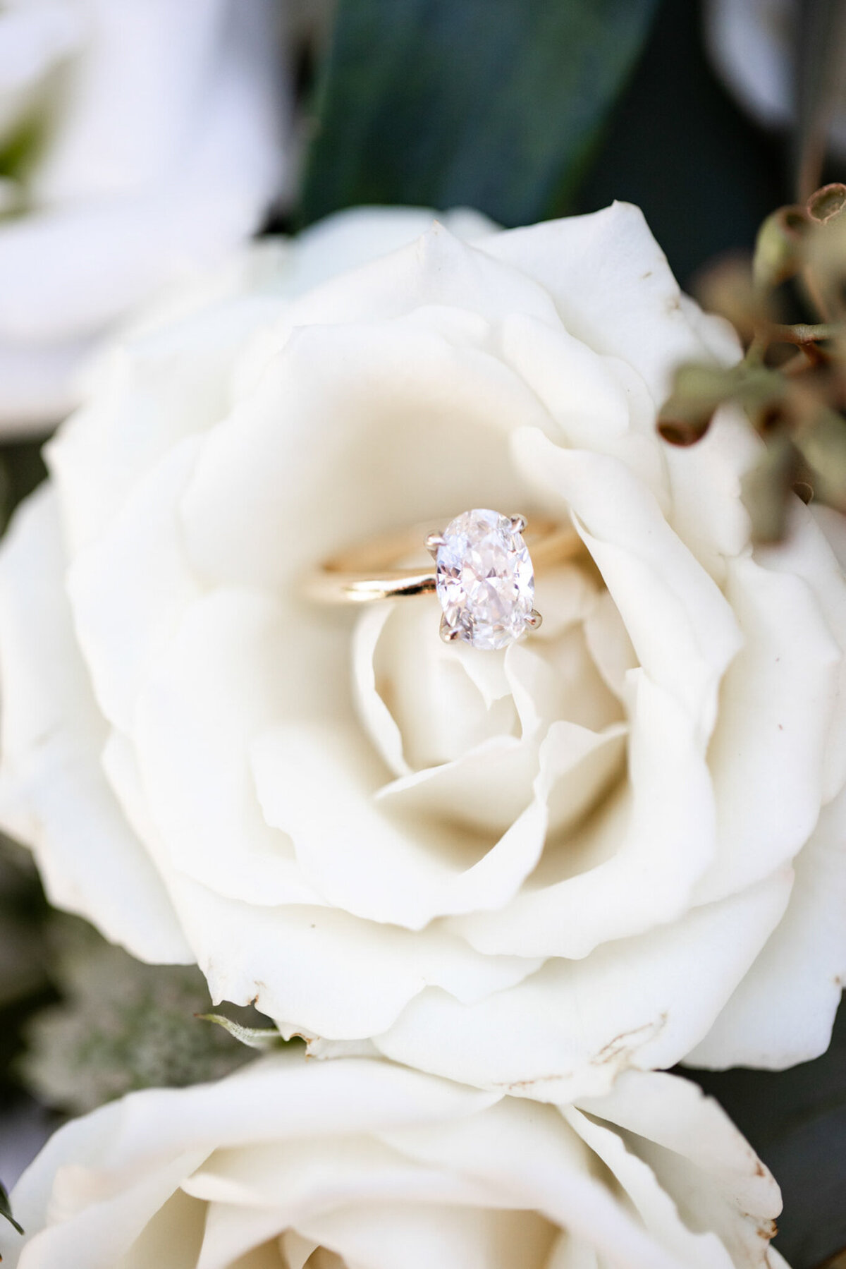 Winterthur Wedding Photos-17