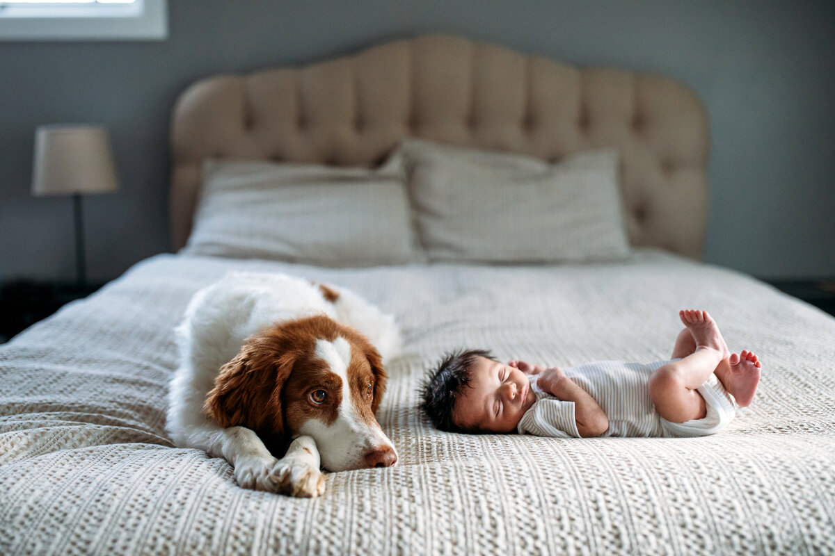 lifestyle newborn photoshoot