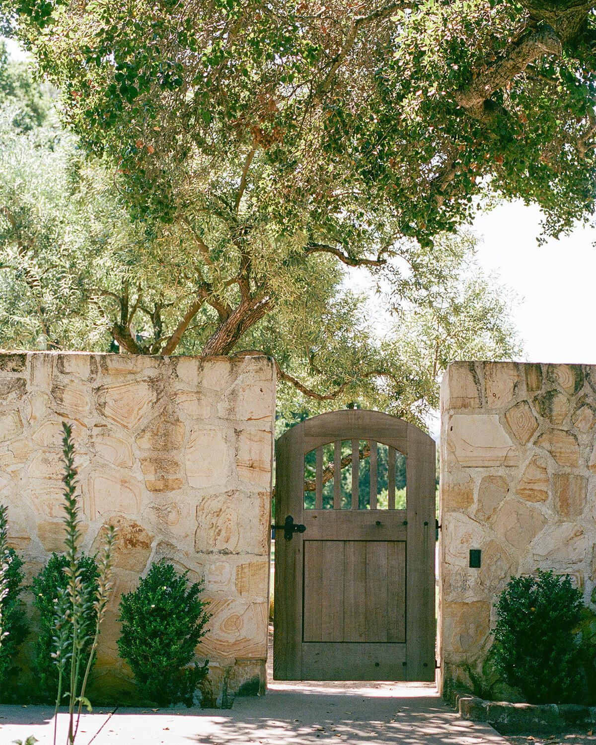 Holman-Ranch-Carmel-Wedding-Film- (11)