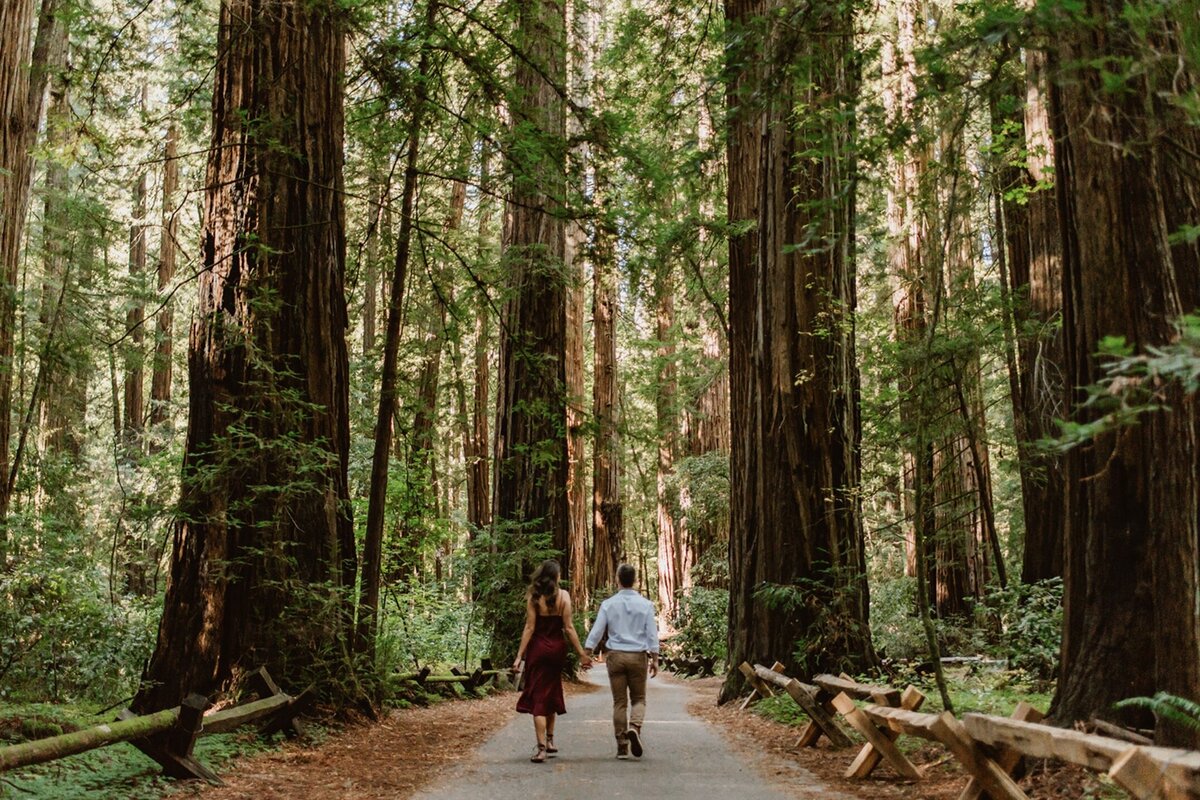 Guerneville Armstrong Redwoods Engagement Session Meg Cooper Photo - 5