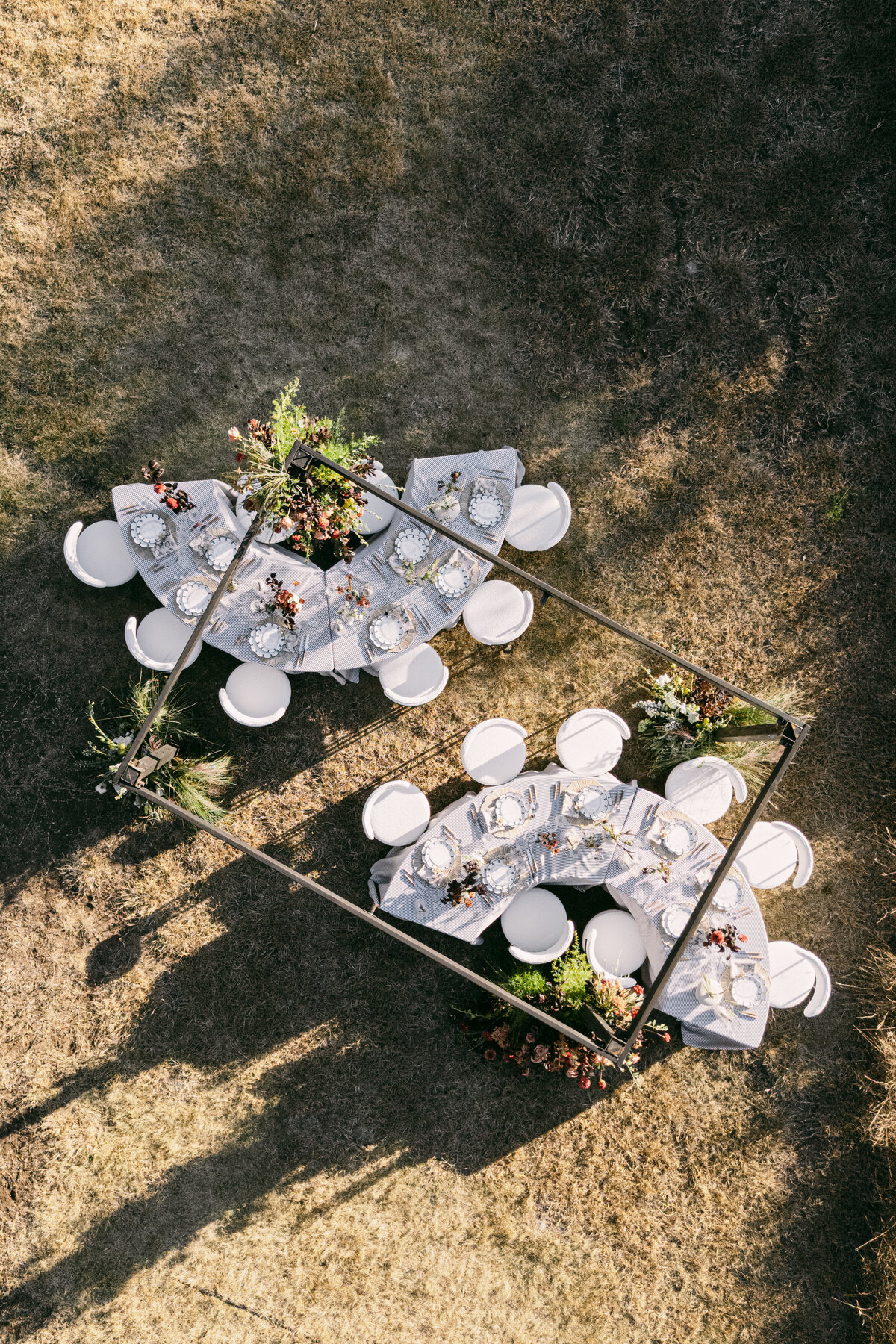 The Editorial Series-135