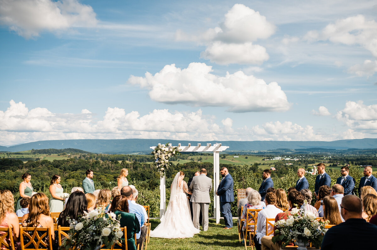 outdoor wedding ceremony at showalter's orchard with a view of the Shenandoah mountains with bride adn groom sharing their vows as their wedding guests sit and watch the ceremony