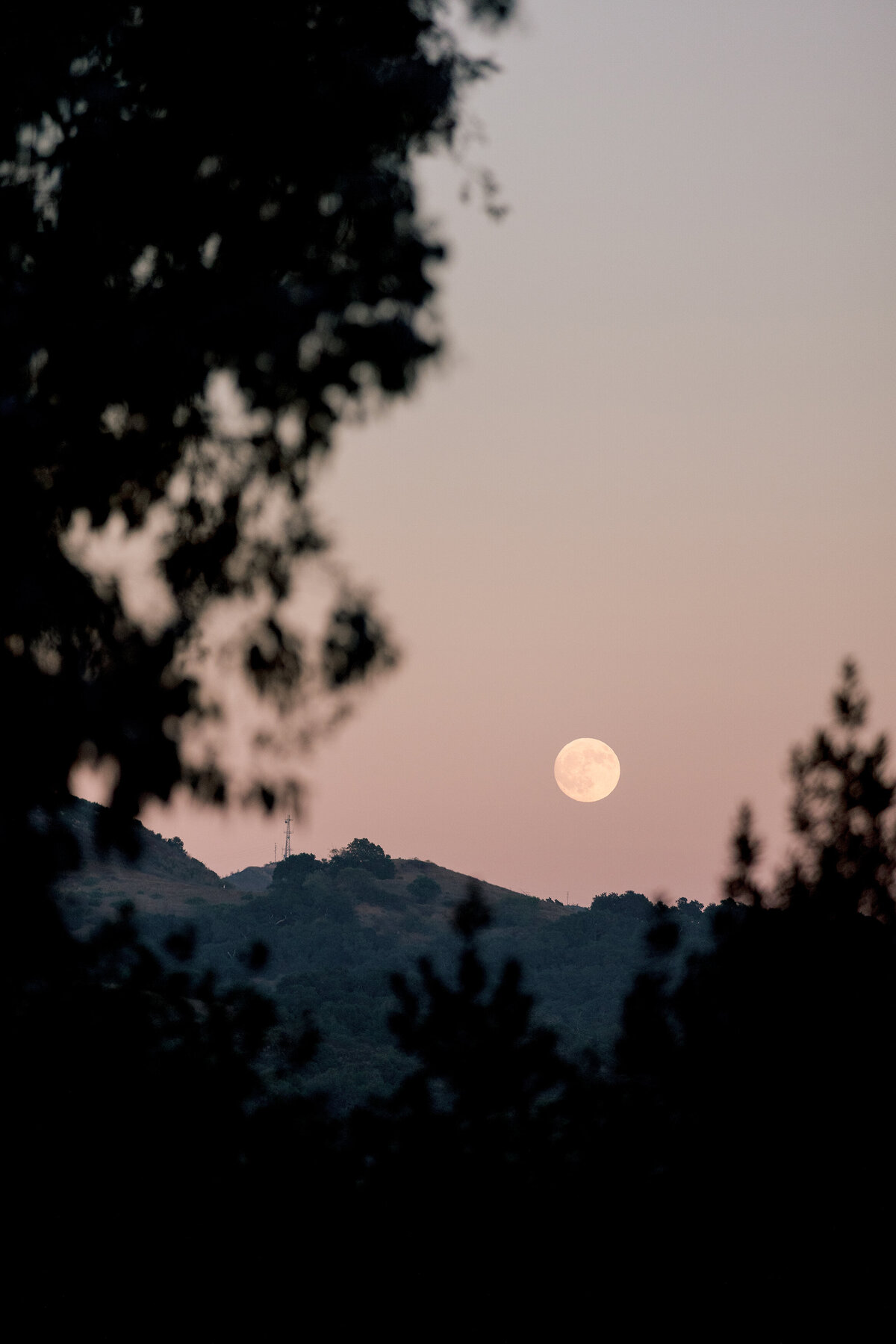 Alexia-umansky-wedding-kyle-richards-032