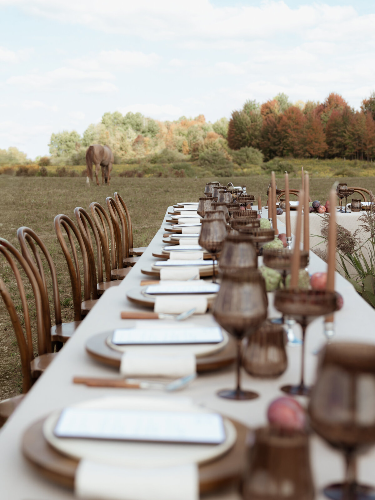 chautauqua-new-york-wedding-photographer