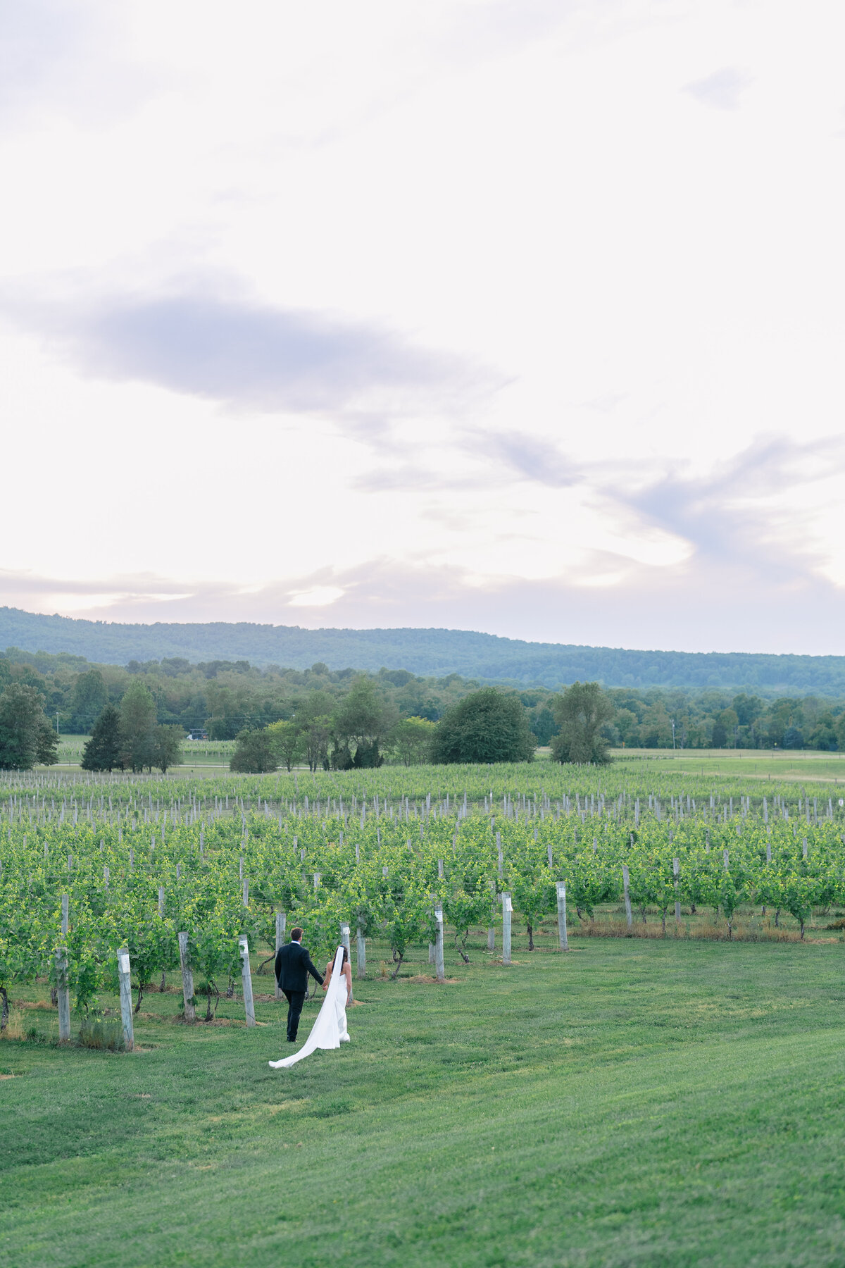 BeamWedding_SunsetPhotos-35