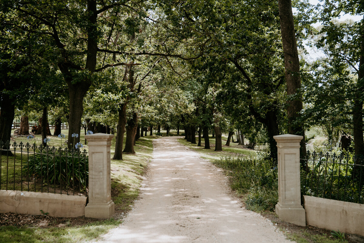 2024-12-14-Nikeisha + Jonathan Tennent Mewburn Park Homestead Wedding Daisy + Pine GIFs-005