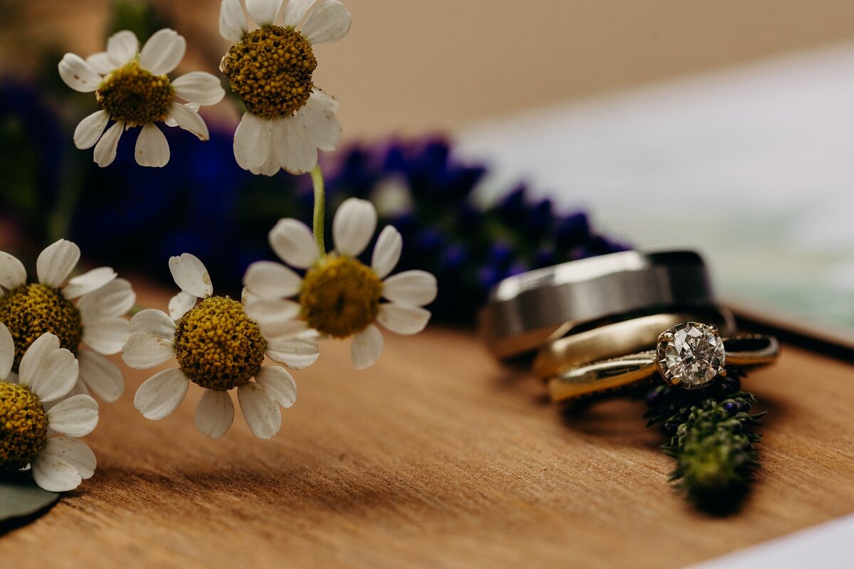 Vanessa James Wedding-163