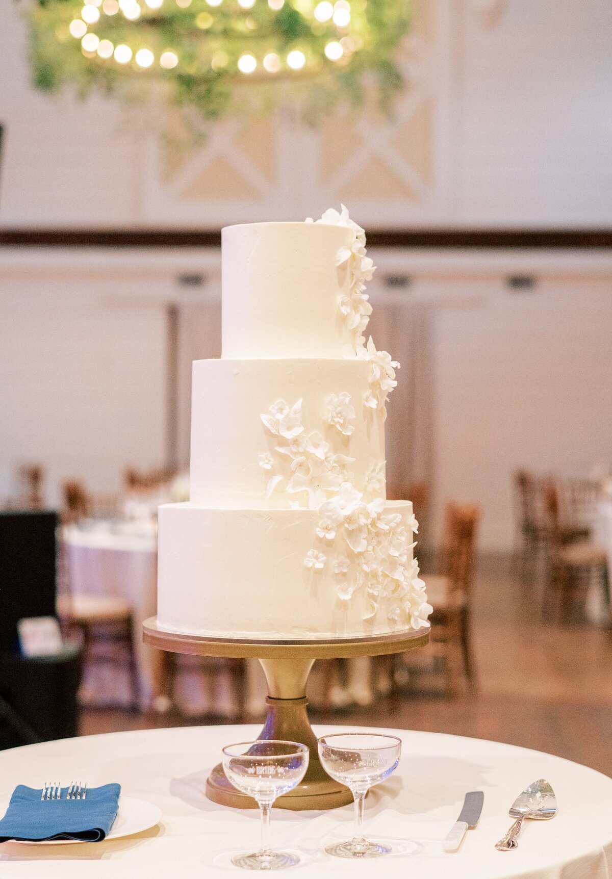Charleston-and-Washington-DC-Wedding-Photographer-Pippin-and-Hill-Jamie-and-Phillip-42