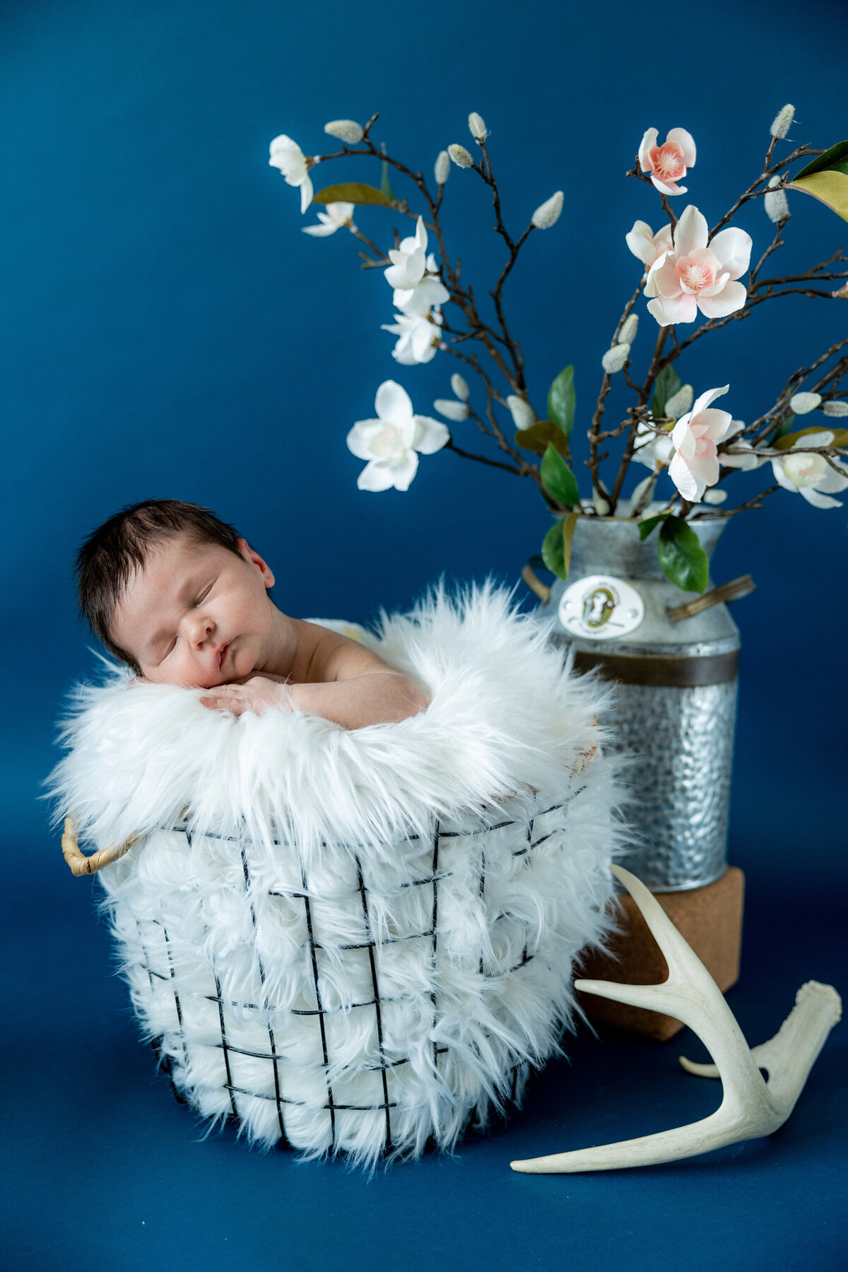 Neriphoto-holland-mi-family-pictures-117