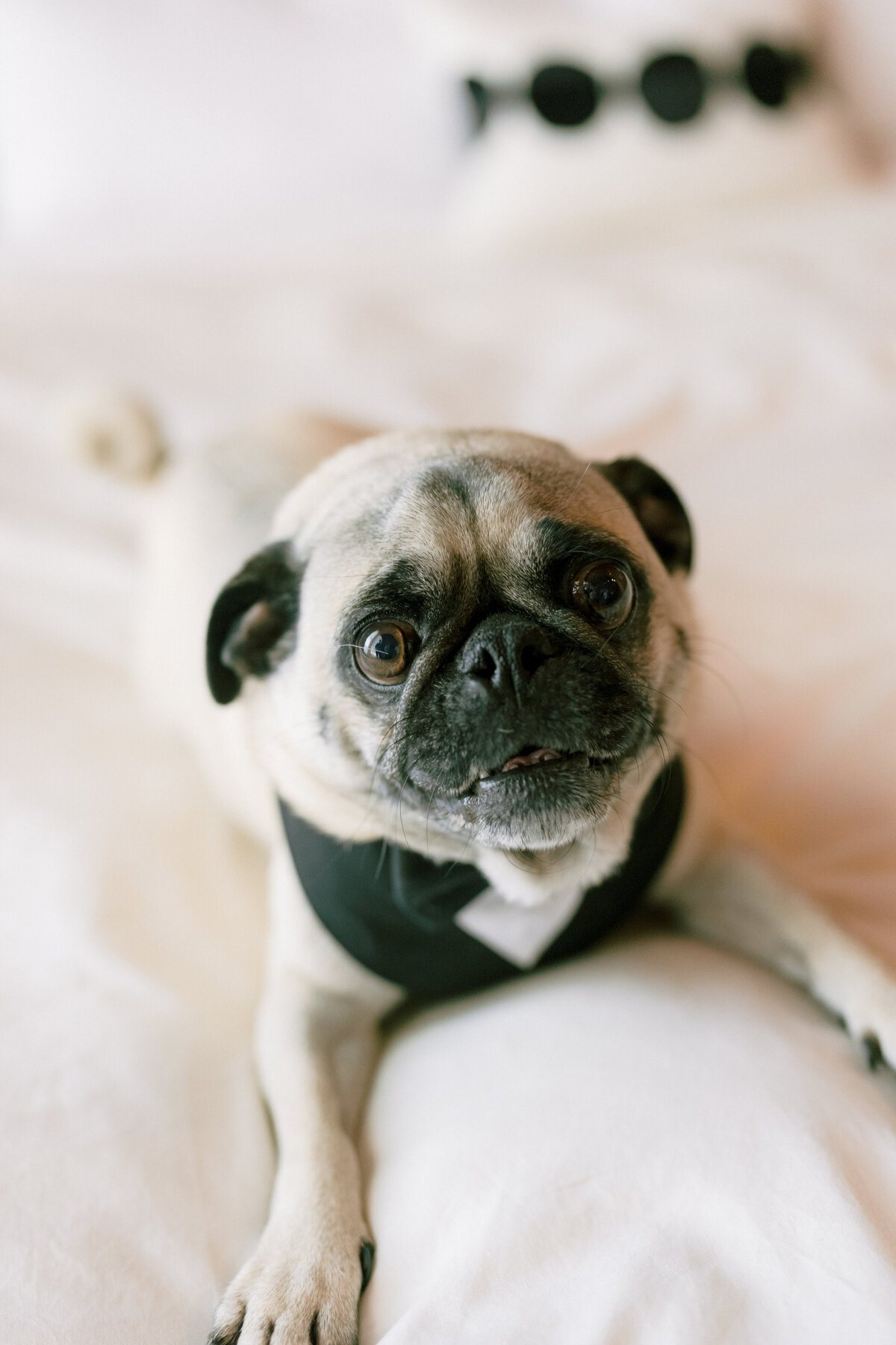 New York Wedding Photographer 10