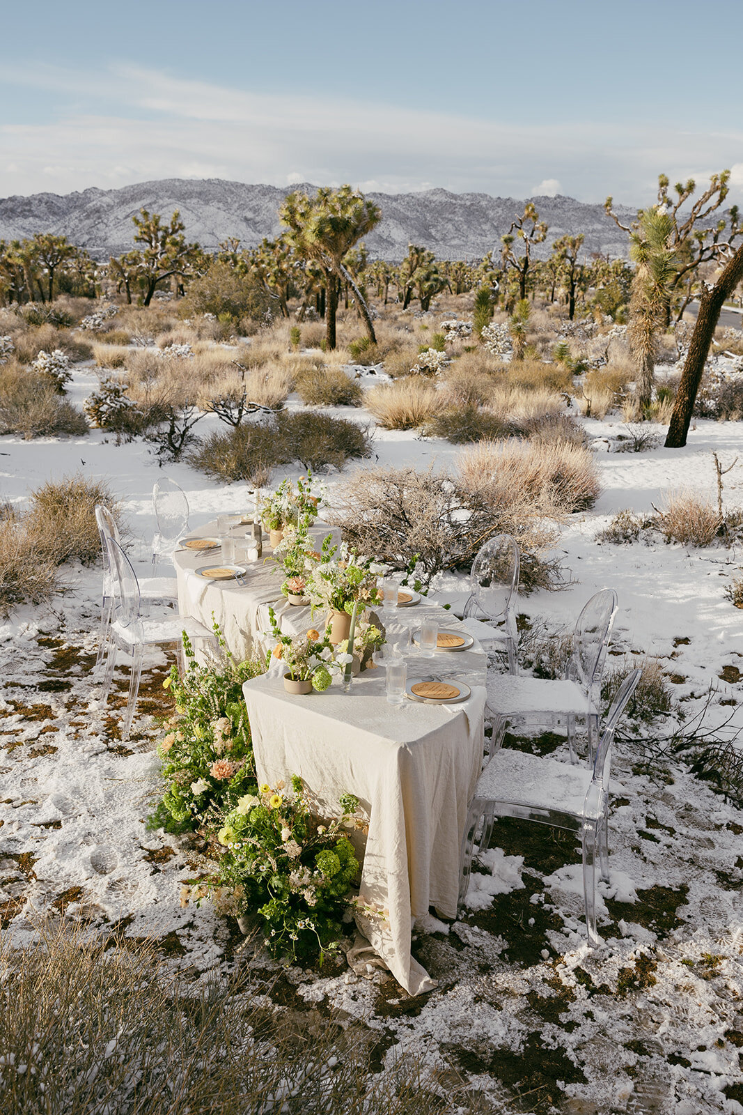 Yucca Valley Shoot  3-1-2023 by Canned Close Up 222117