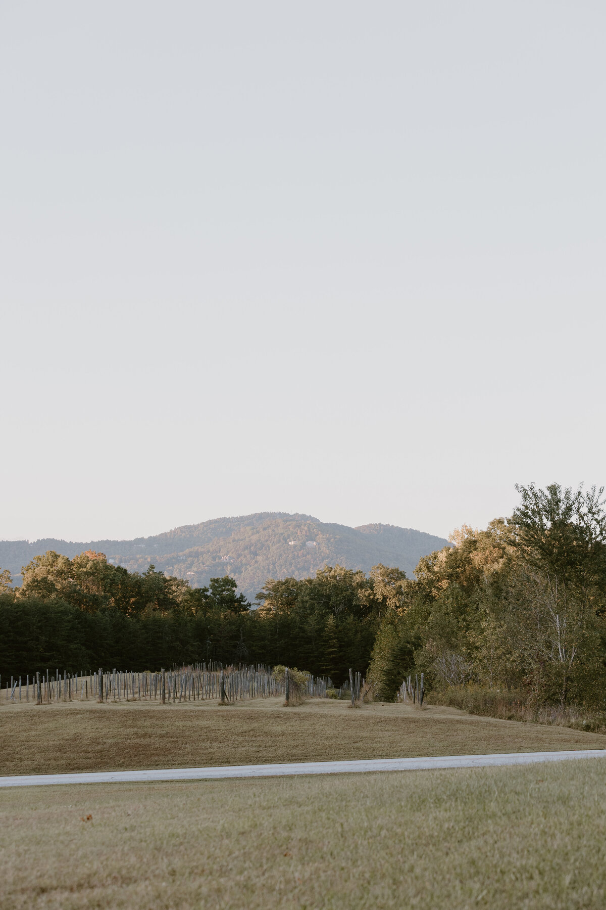 View of blue ridge mountains from hotel domestique
