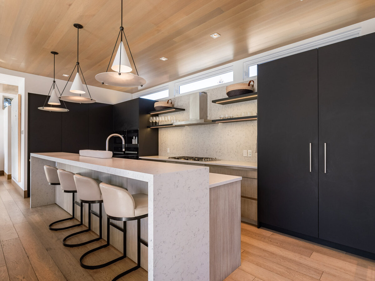 203 N Monarch Street, Aspen (7)