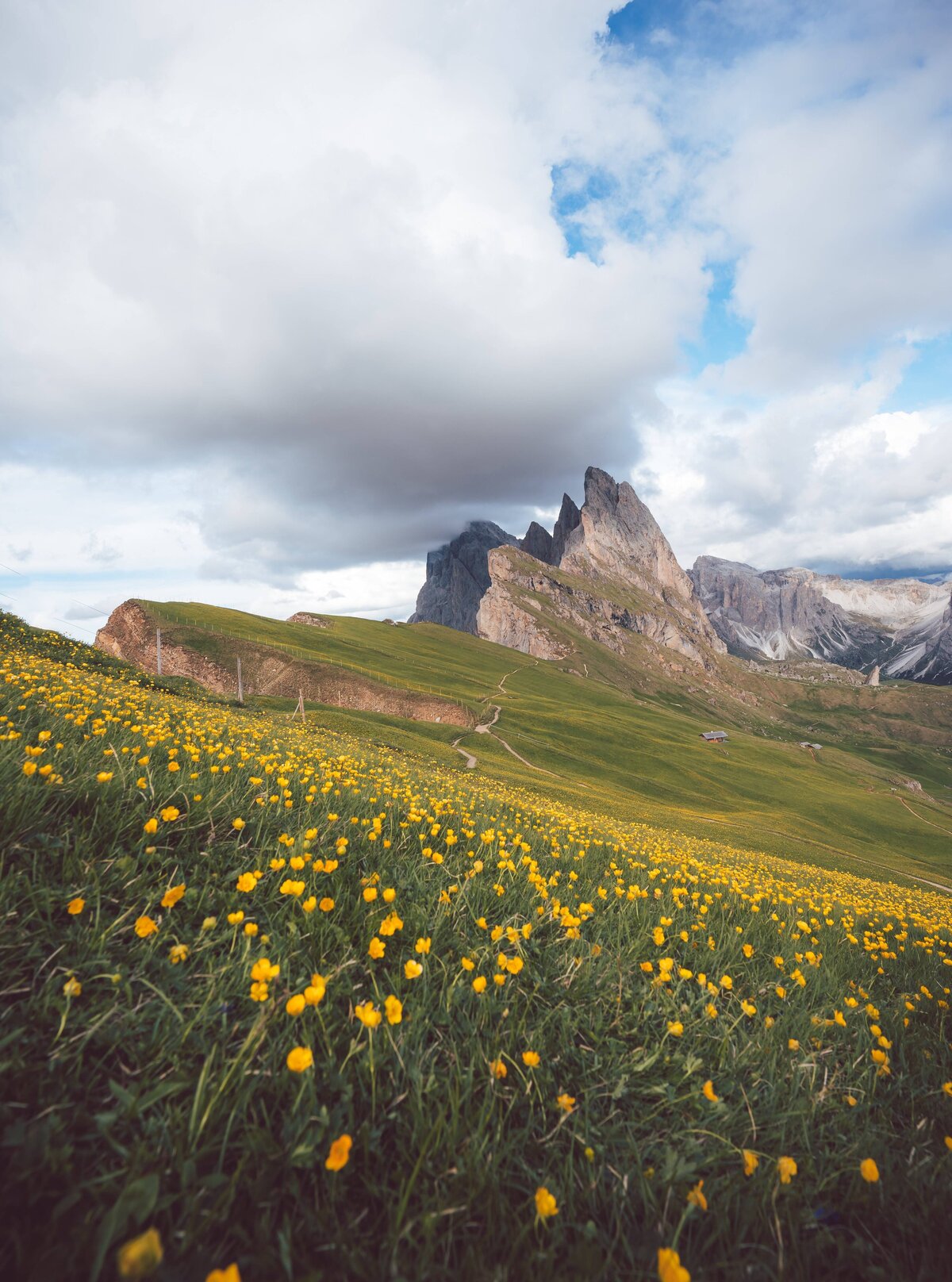 20220608_dolomites_ILCE-7M4_08616