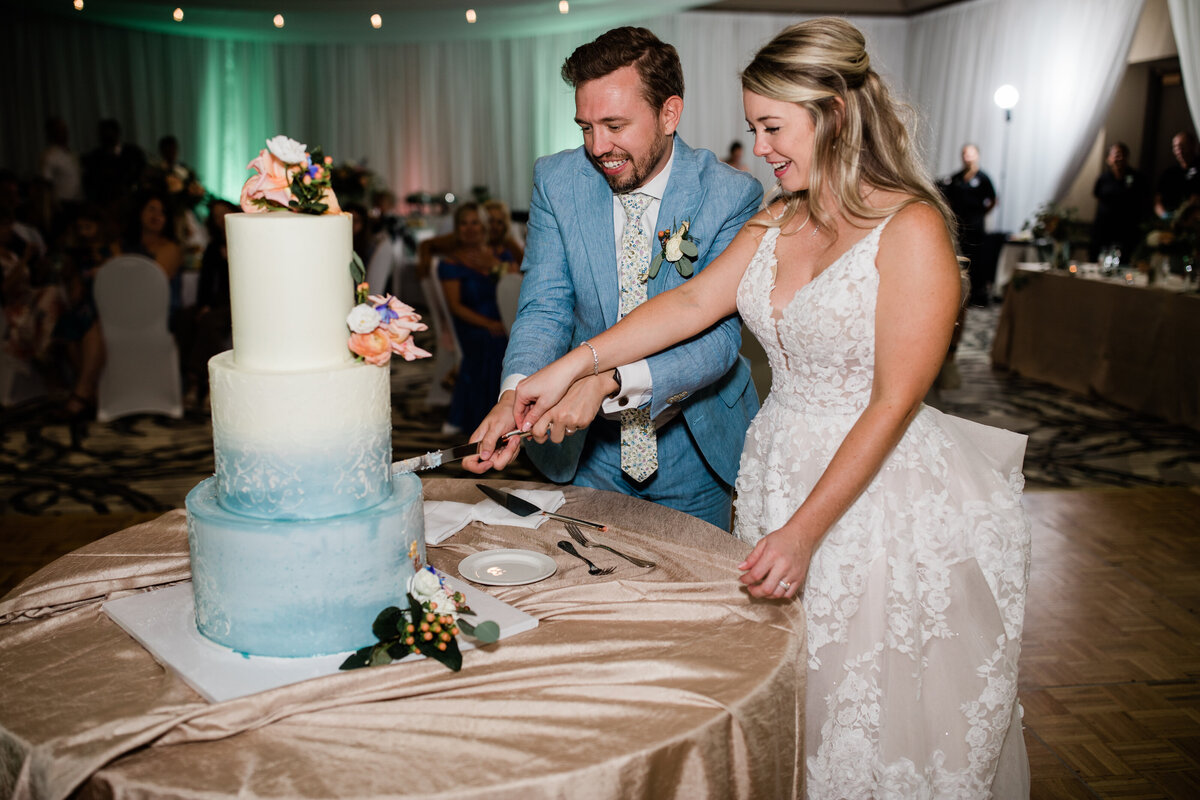 cake-cutting