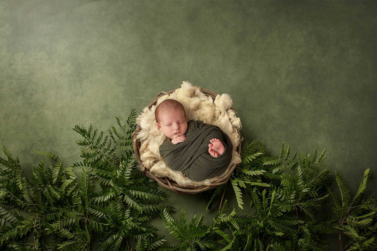 summerville infant photographer
