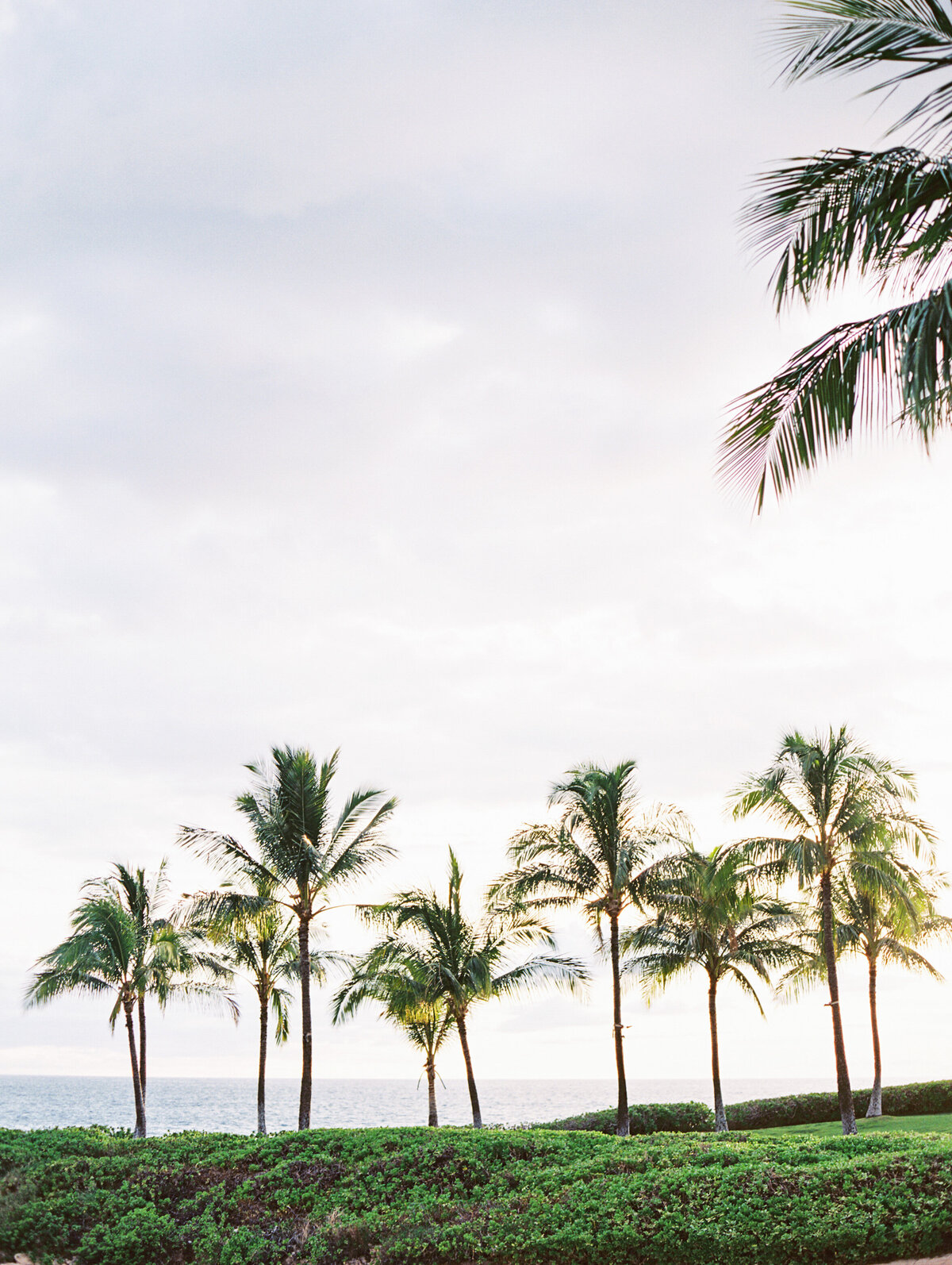 Hawaii.Elopement.MarniWishartPhotography.10.06.2022-101