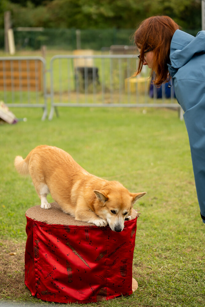 ElkeFierensFotografie-03667