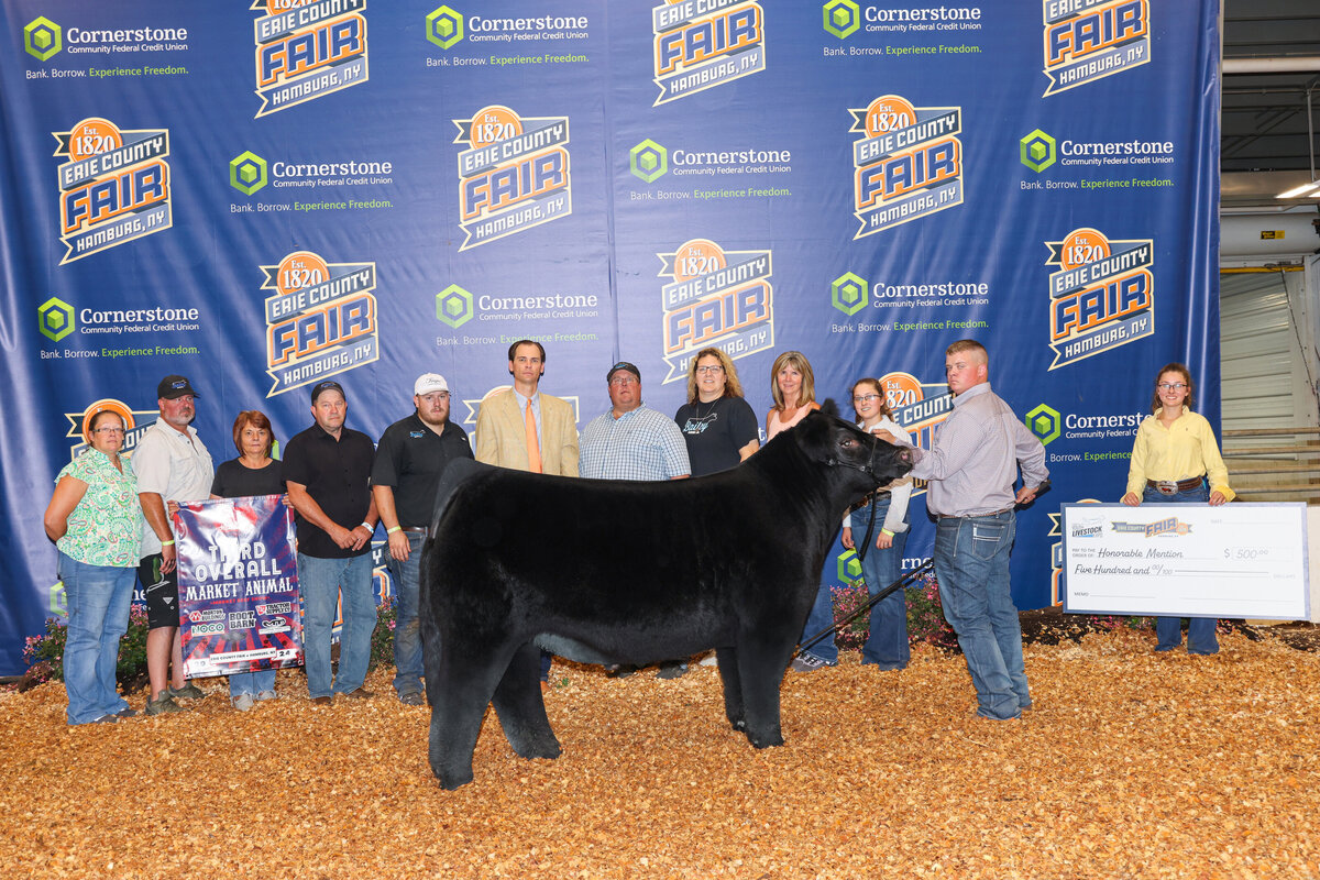 livestock photography