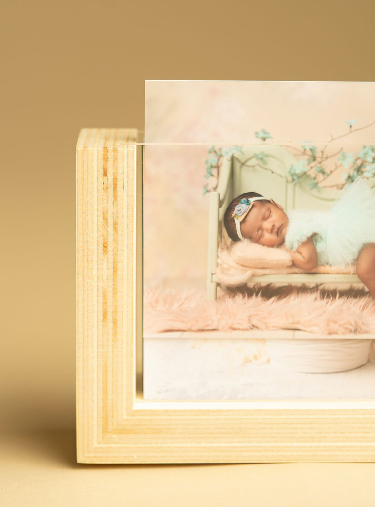 orlando-fl-maternity-milstone-newborn-photography-steinart-studio-product-quality