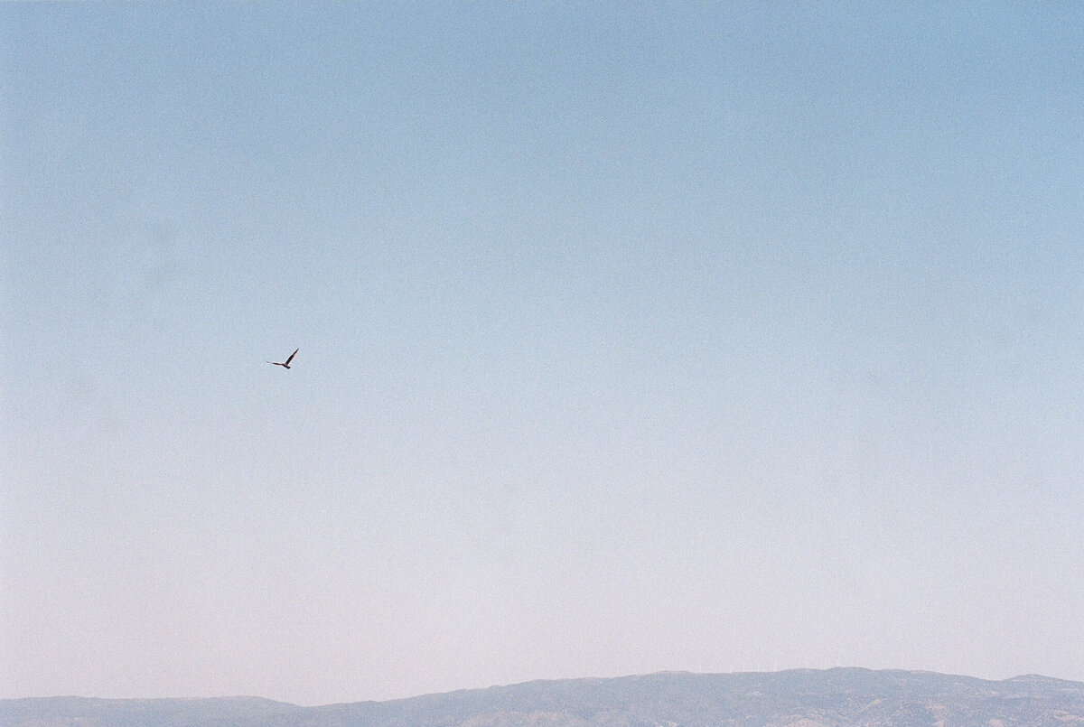 35mm-Film-wedding-photographer-30