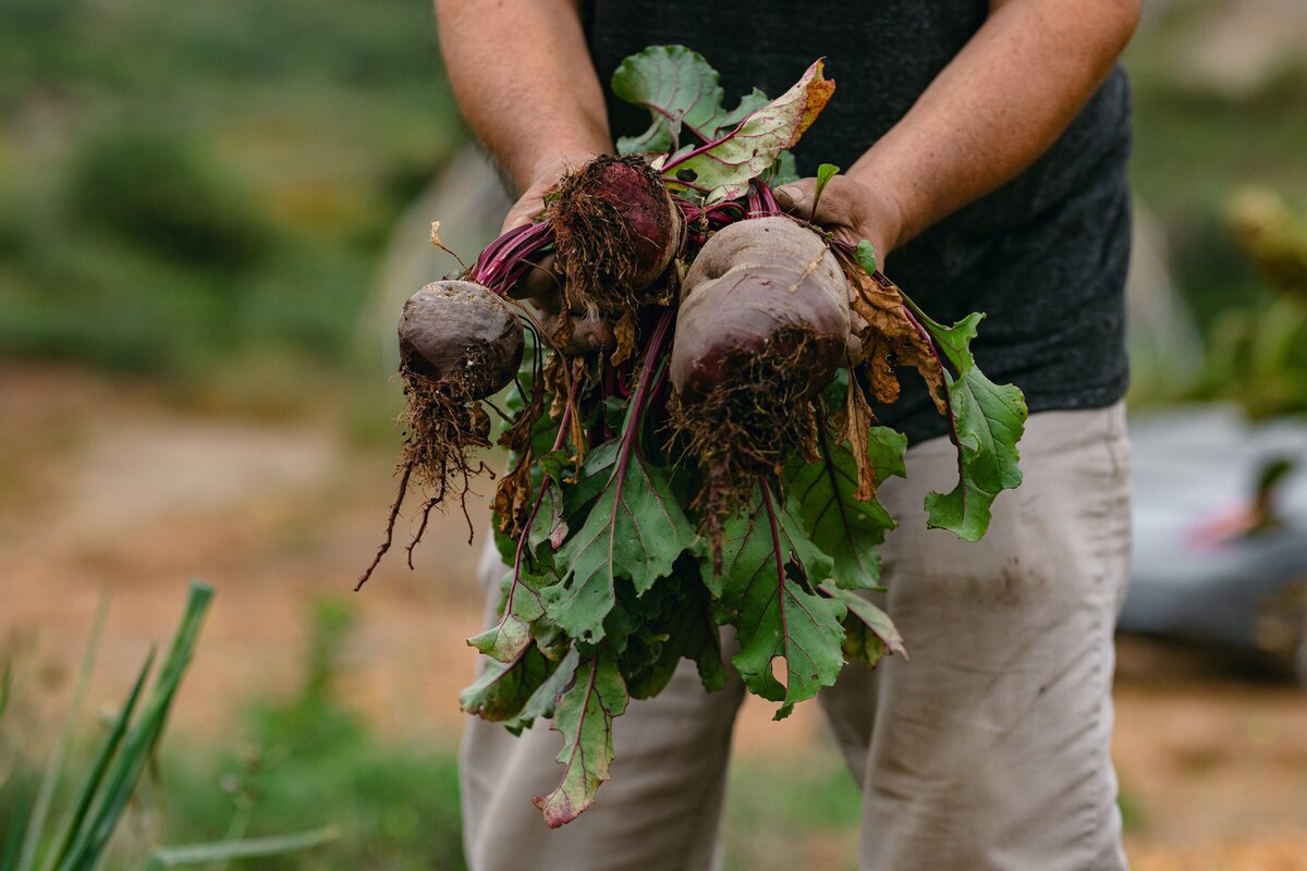 Leap-Lab-Science-Farm-Ventura-California-Santa-Paula-Non-Profit-0017