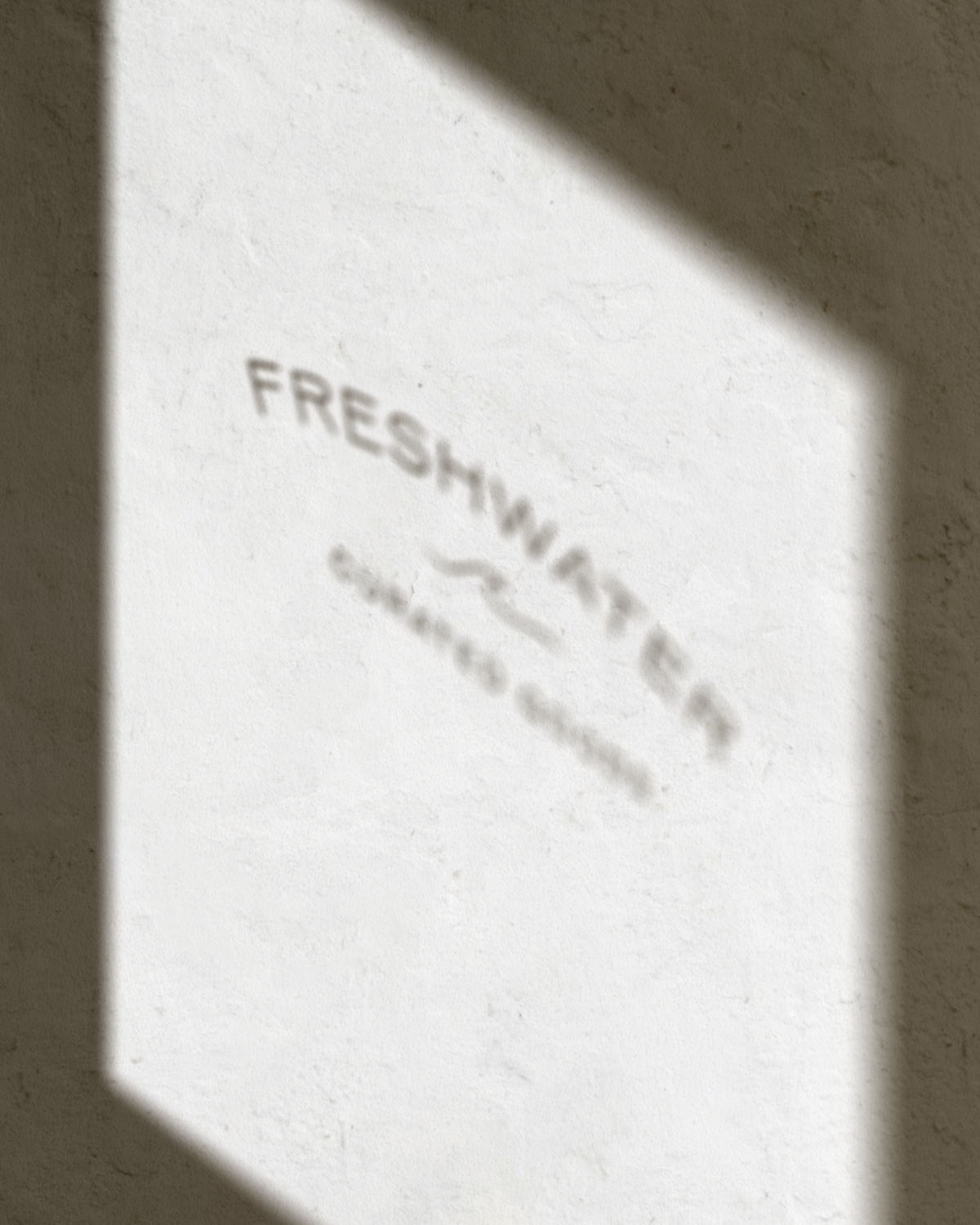 FW Window