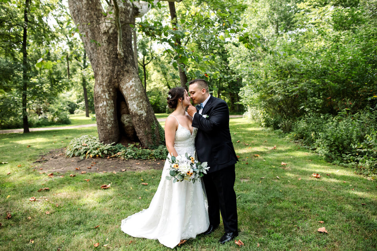 Bride and groom kissing in front of the Sycamore Tree