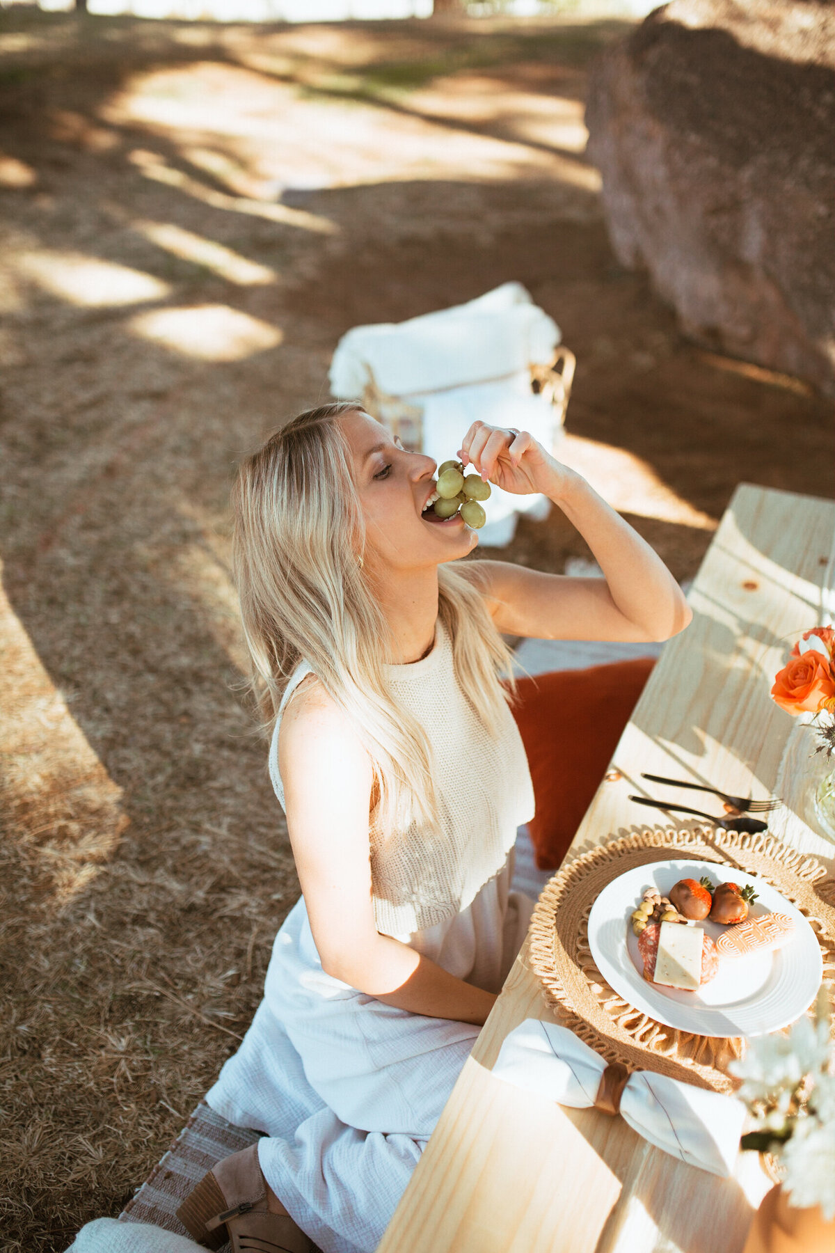 picnics by rae-7332