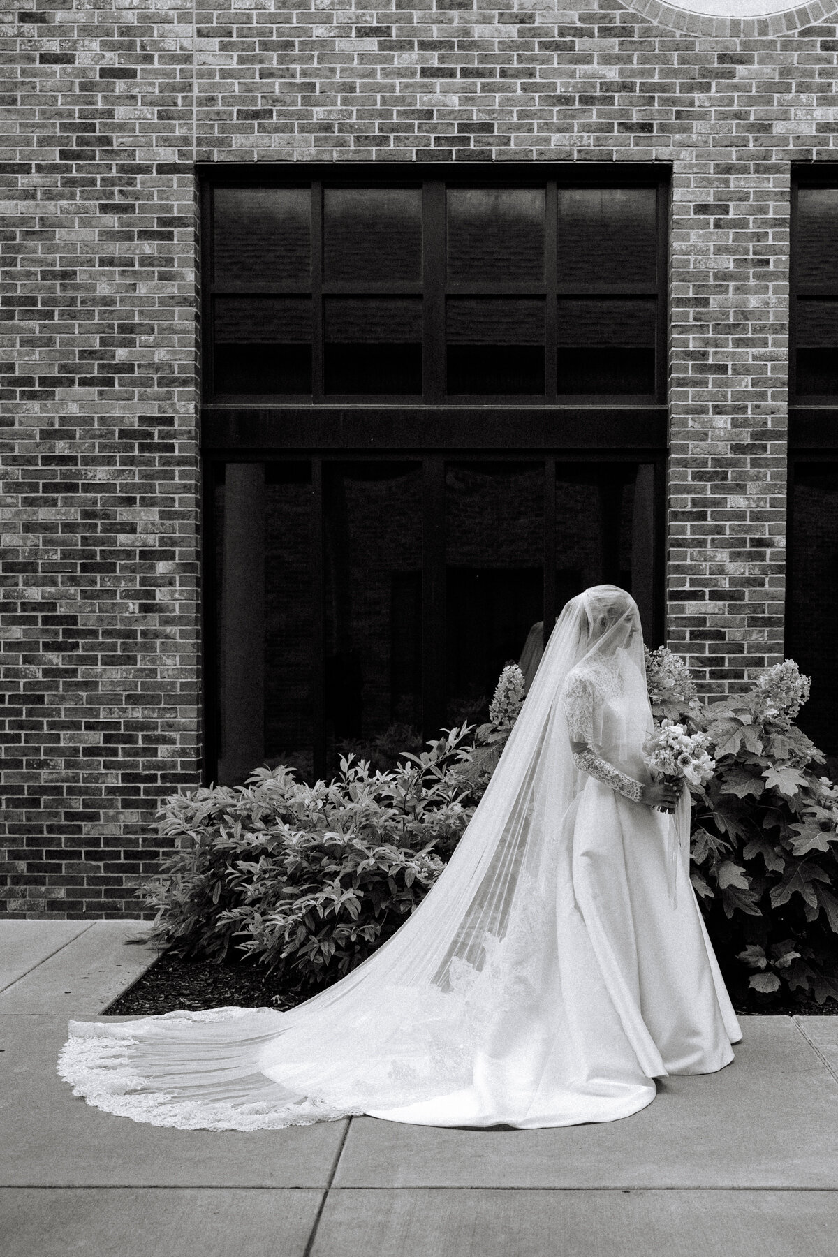 cat-cameron-wedding(227of1096)