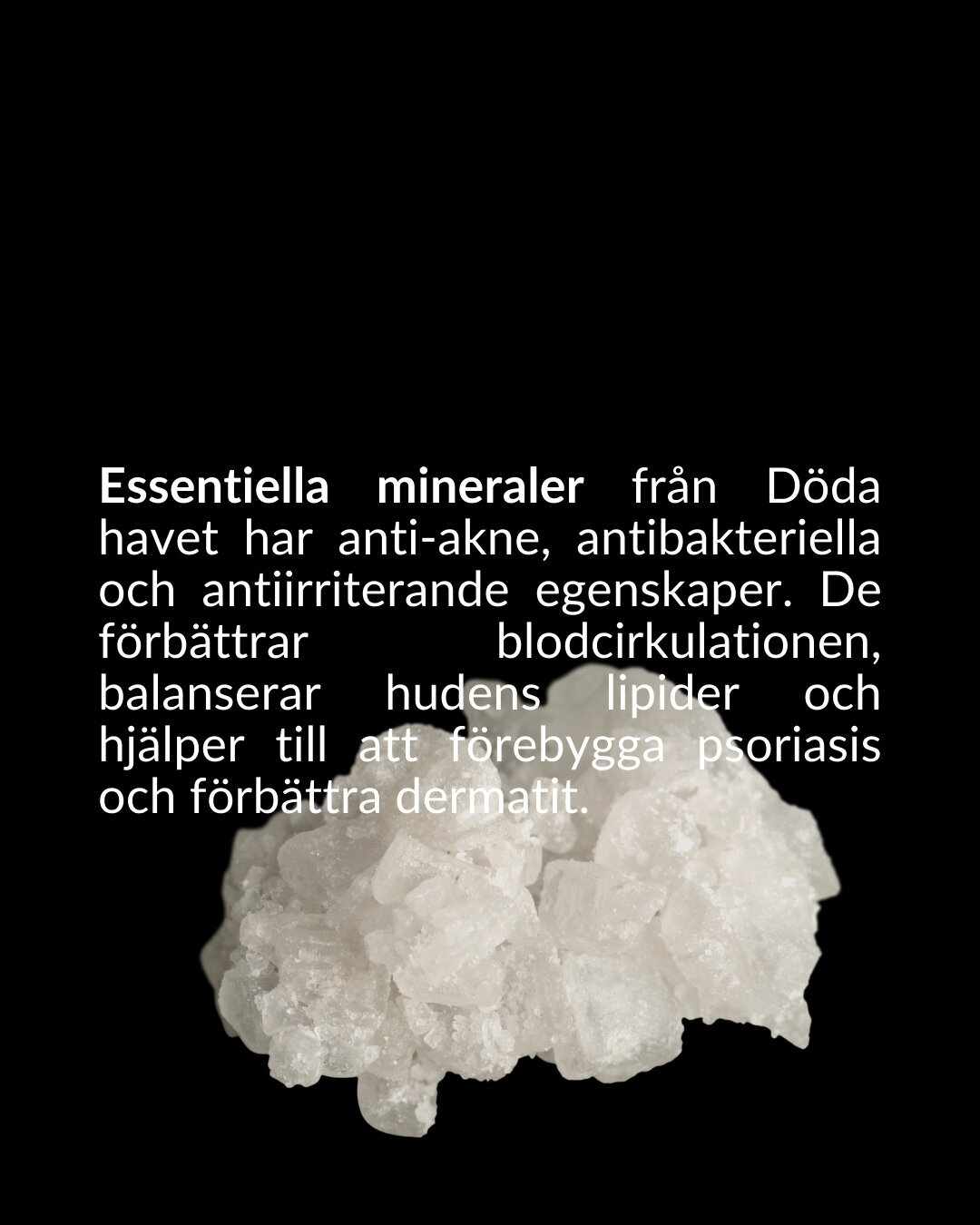 soberbia (21)