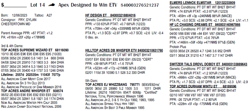 Lot 14