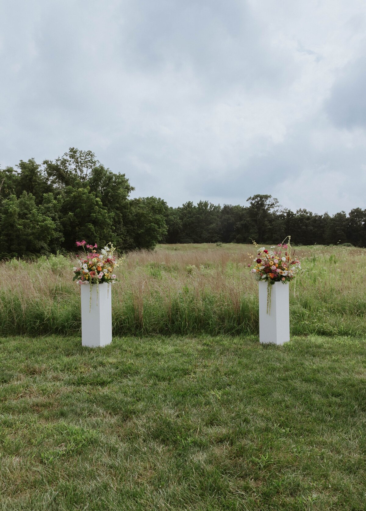 destination-elopement-photographerMG2A8392.CR3 yes