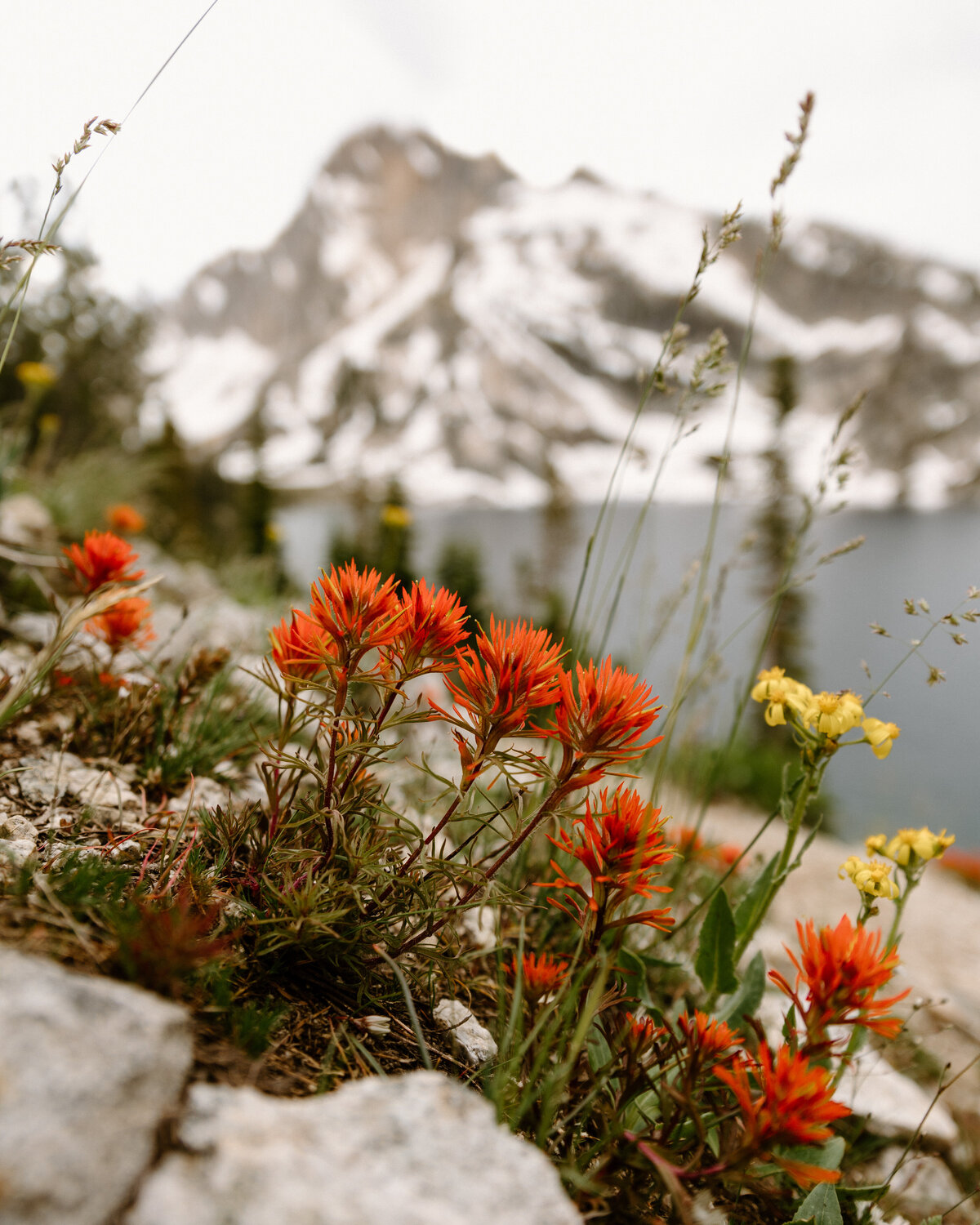 sawtooth_mountains_stanley_idaho_landscape_photographer_03