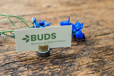 Horn Photography & Design Buds - 0038_