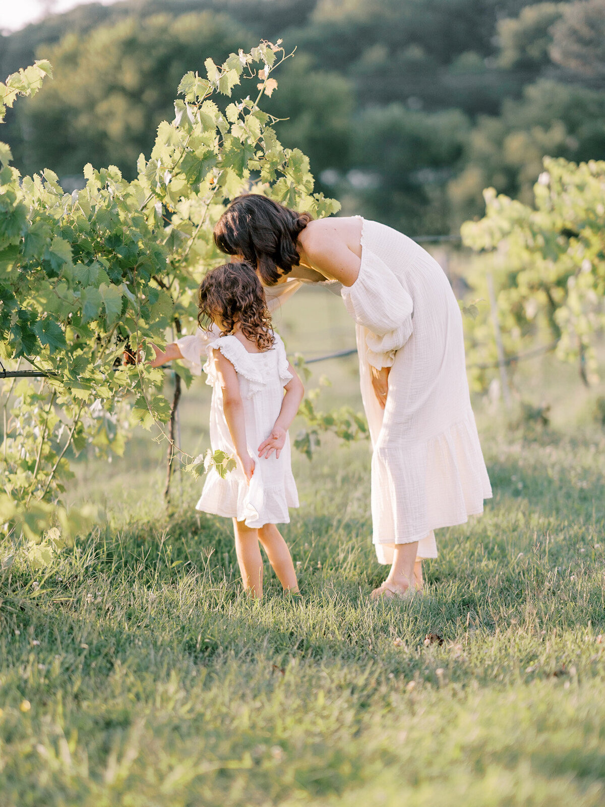 Springdale Family Photographer | Laken Brown -48
