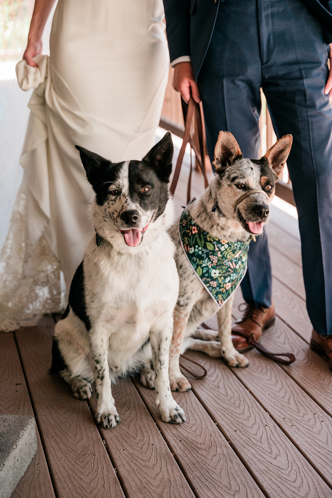 summer-top-of-the-pines-ridgway-wedding_0291_websize