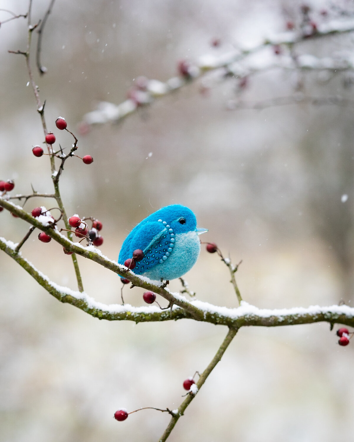 Bird_on_Birch_broz_ptacek_birdbrooch-1