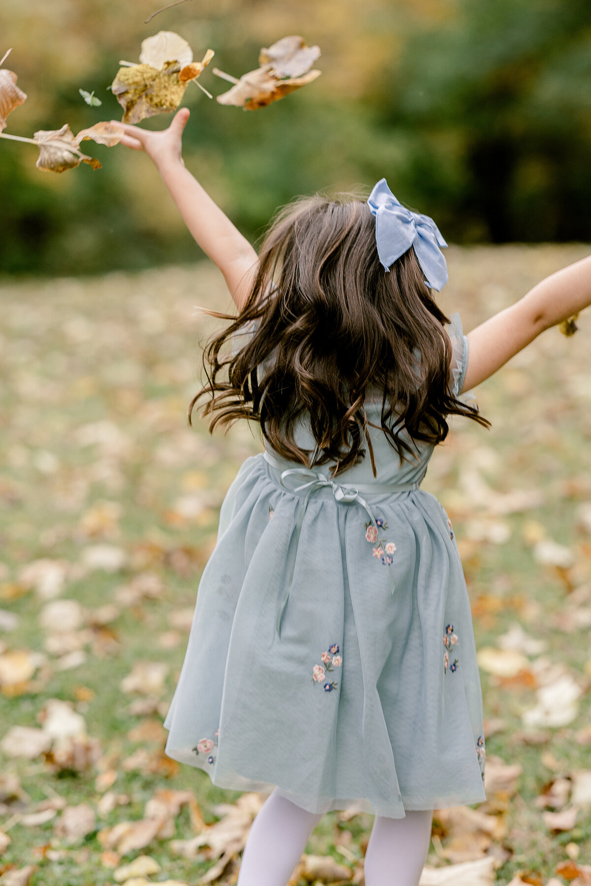 Grand Rapids Family Photographer 2