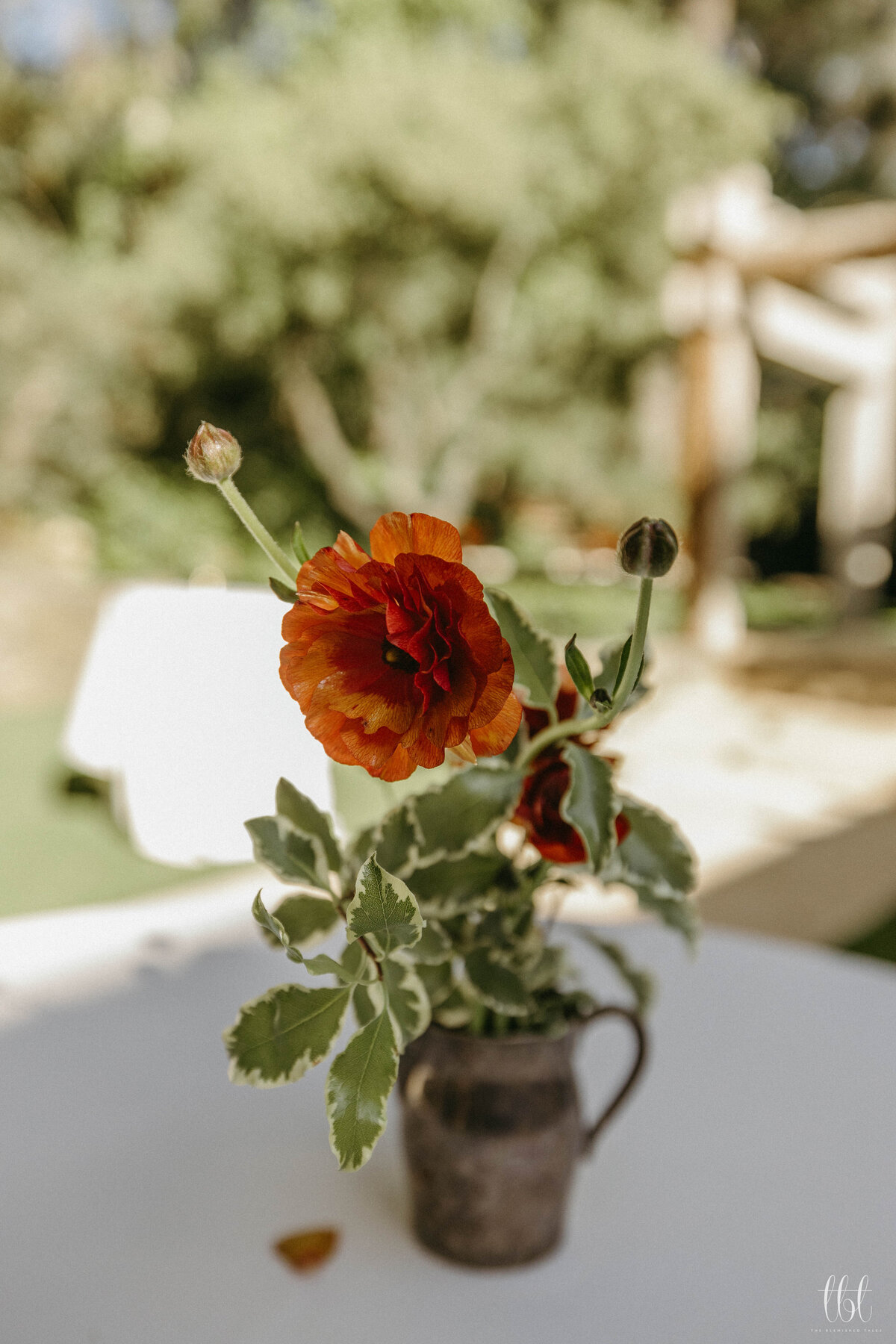 FayeFernCreative-CalamigosRanch-Wedding-WelcomeParty-AM-06