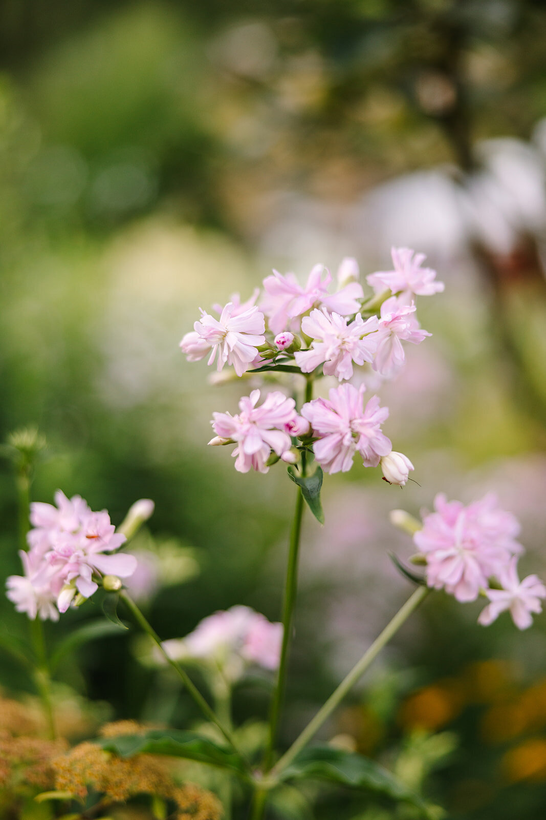 Snohomish WA Garden Wedding - Twin Willow Gardens Joanna Monger Photography