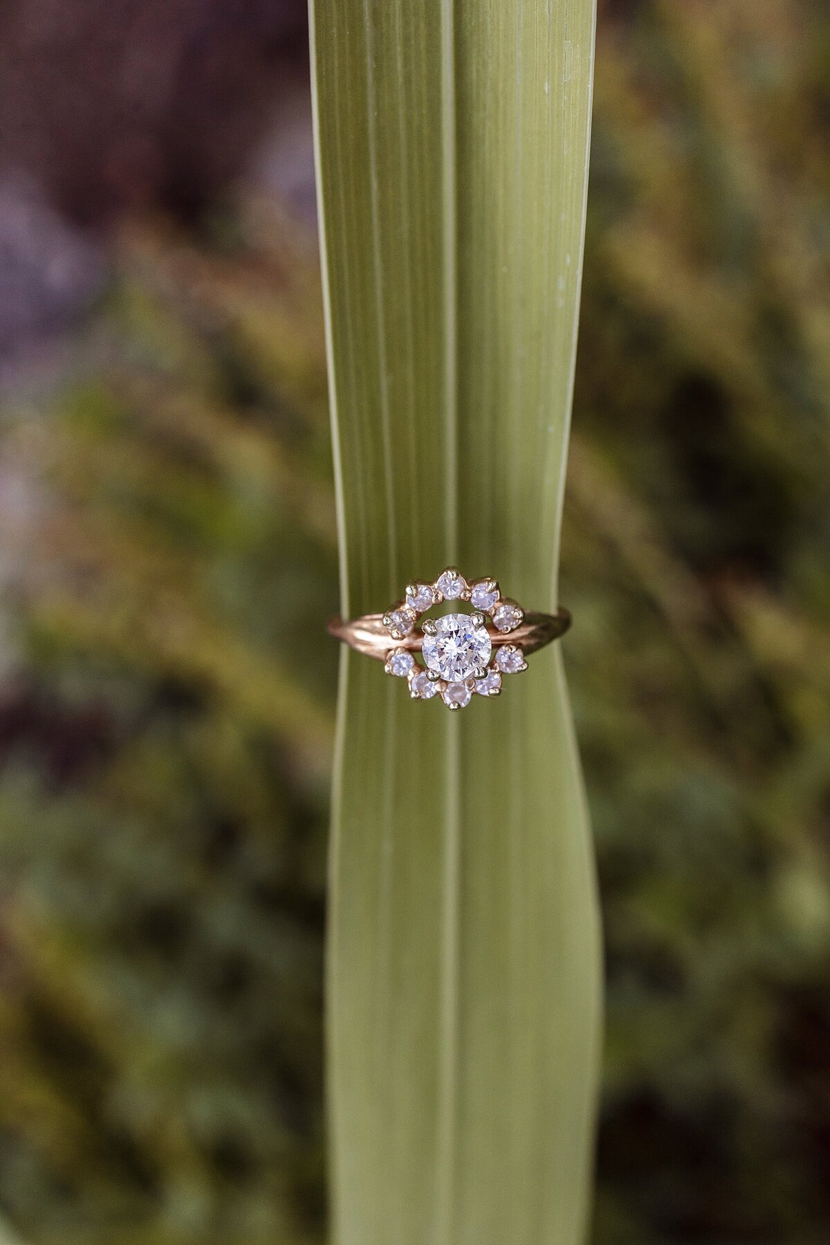 medford-engagement-couples-photography_2311