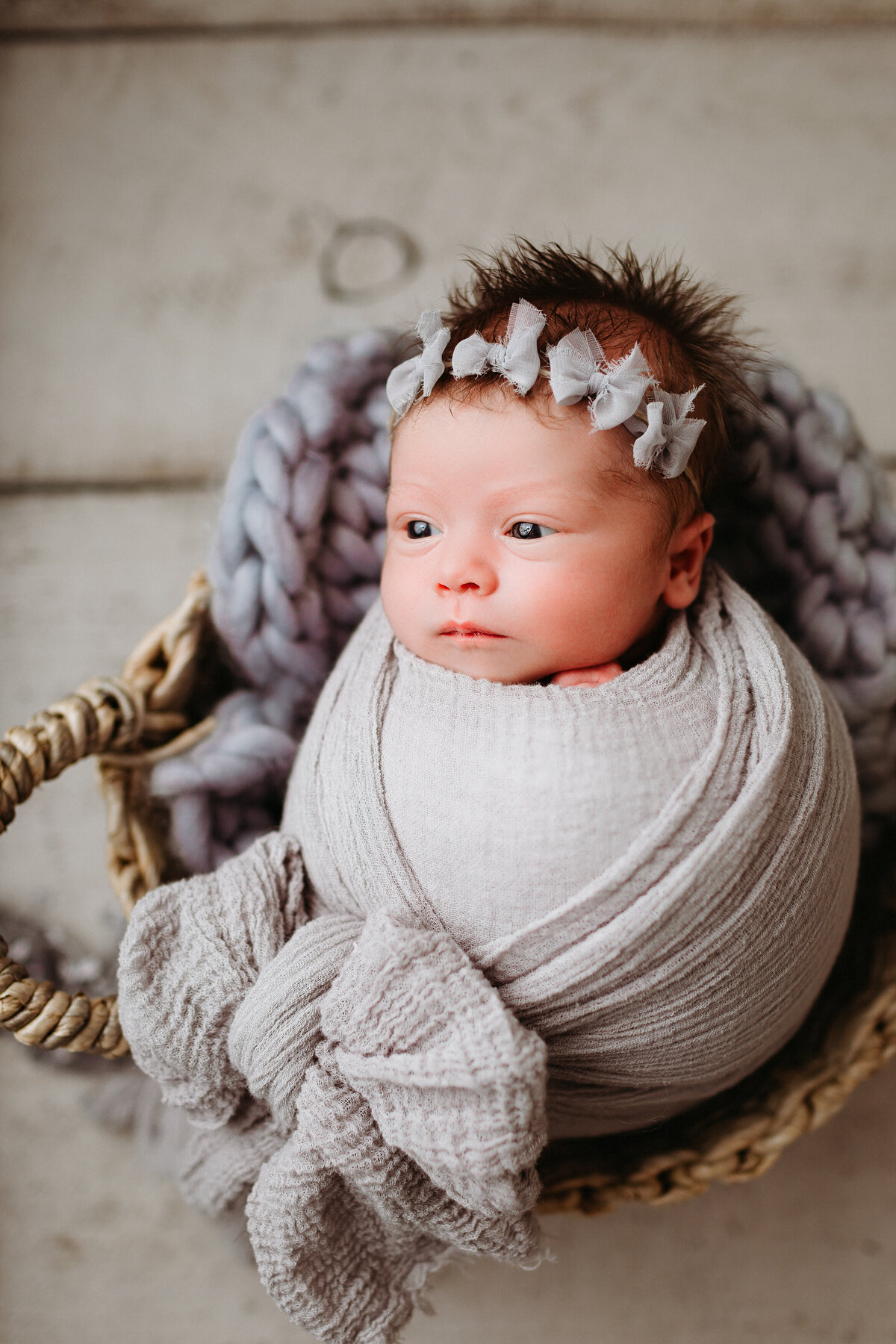 Baby girl portraits edmonton
