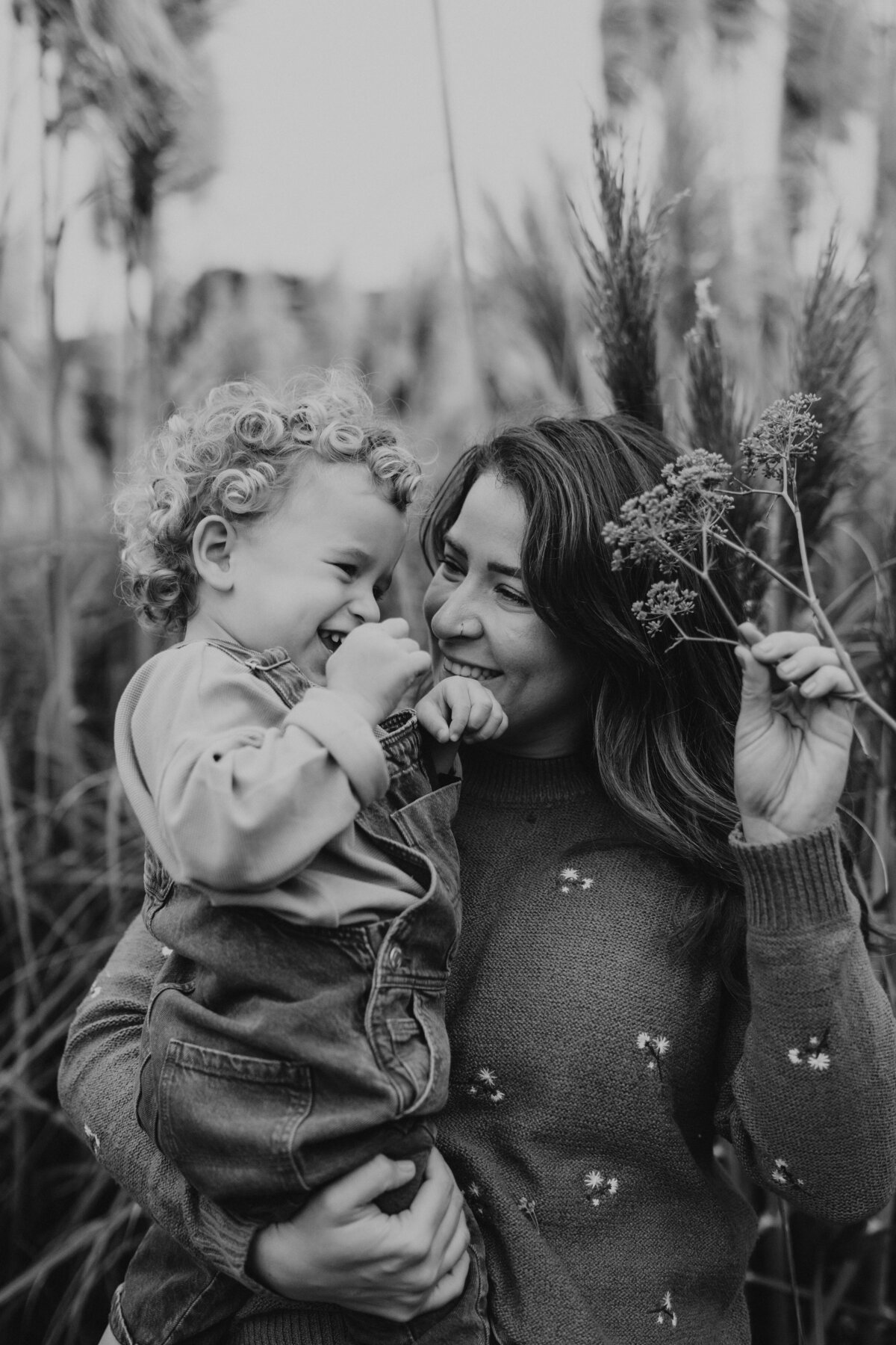 pexels-jessyka-marques-17123873-15621836