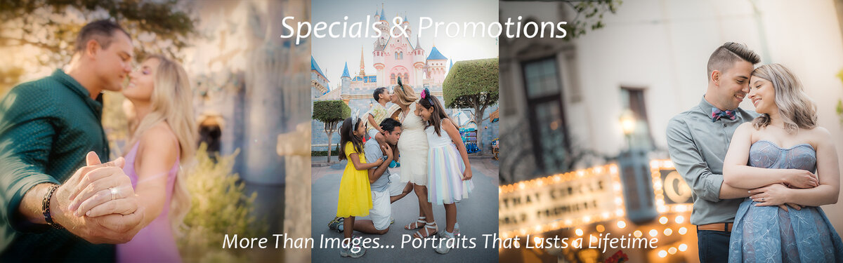 Disneyland Masterpiece Portraits banner