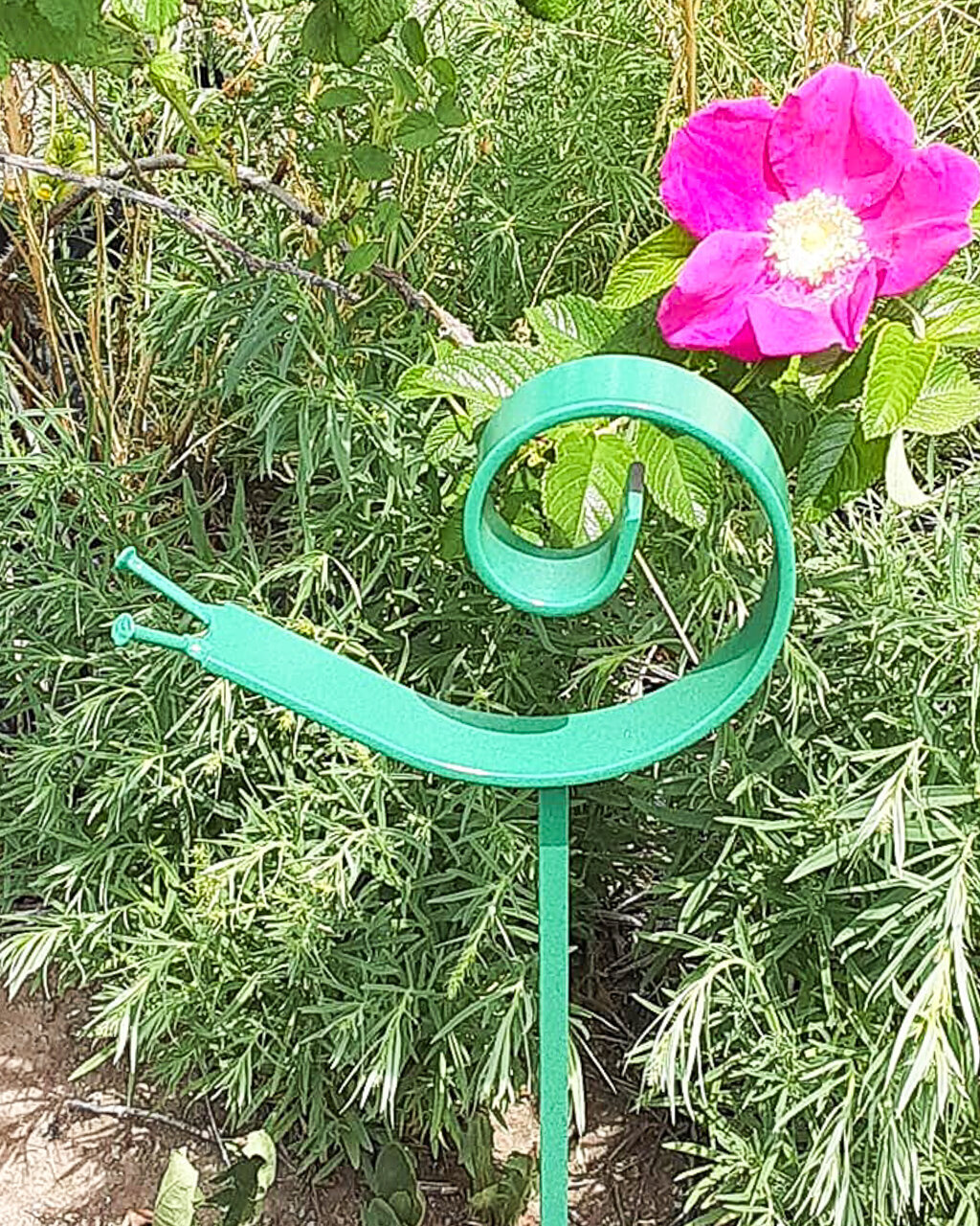 green snail_edited