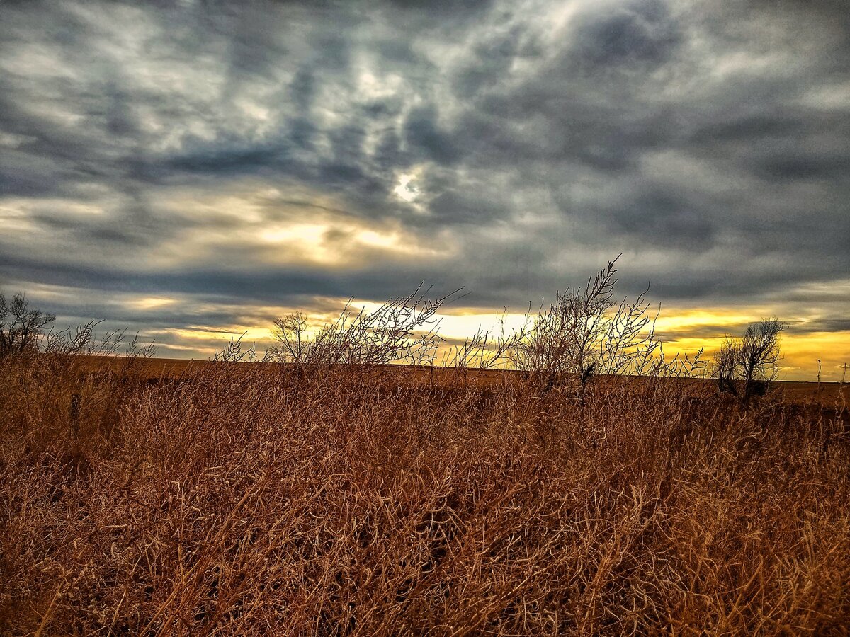 WP High Plains CO_edited