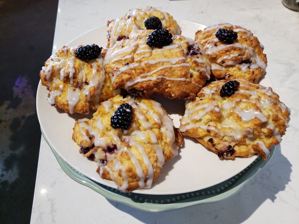 blackberry-desserts-french-press-bakery